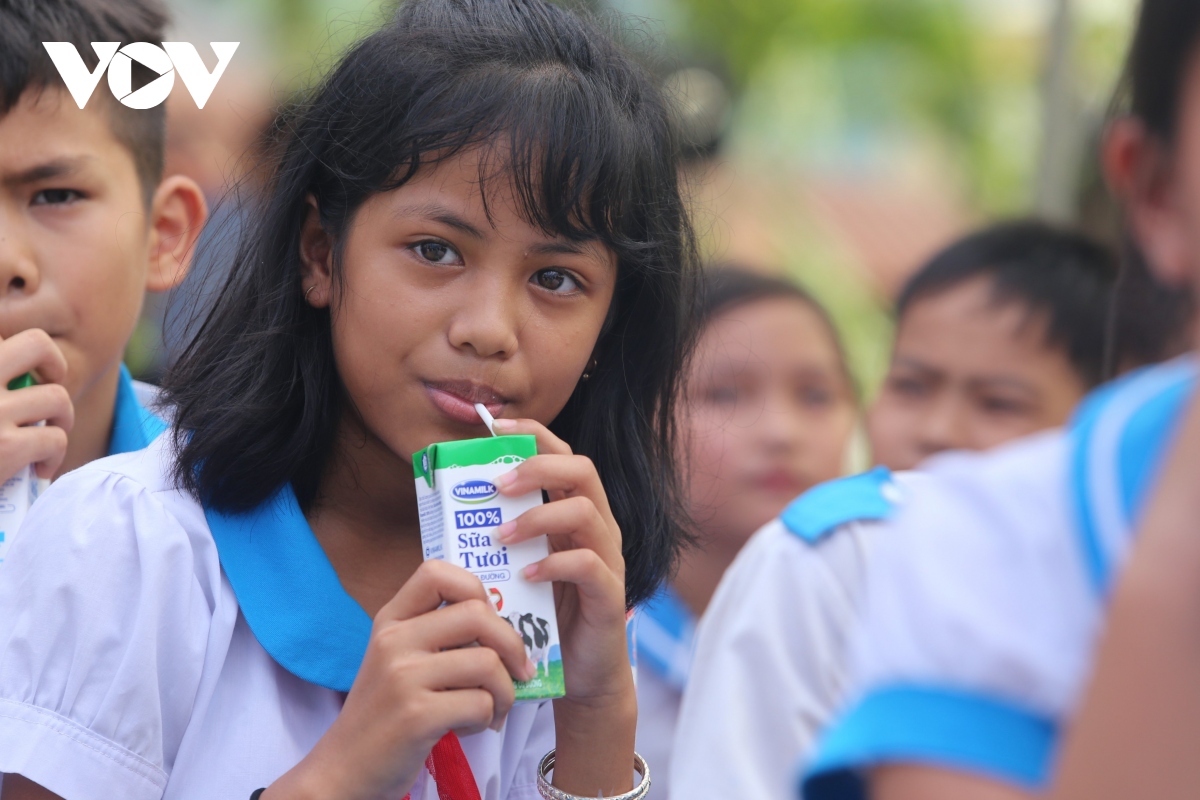 Thủ tục đấu thầu chậm, học sinh miền núi Quảng Nam không được uống sữa học đường